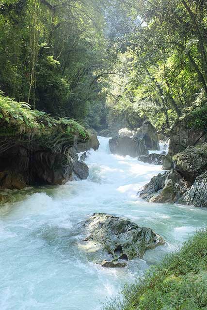 River passing through Semuc Champey, Guatemala